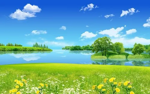 节能全自动高性能
